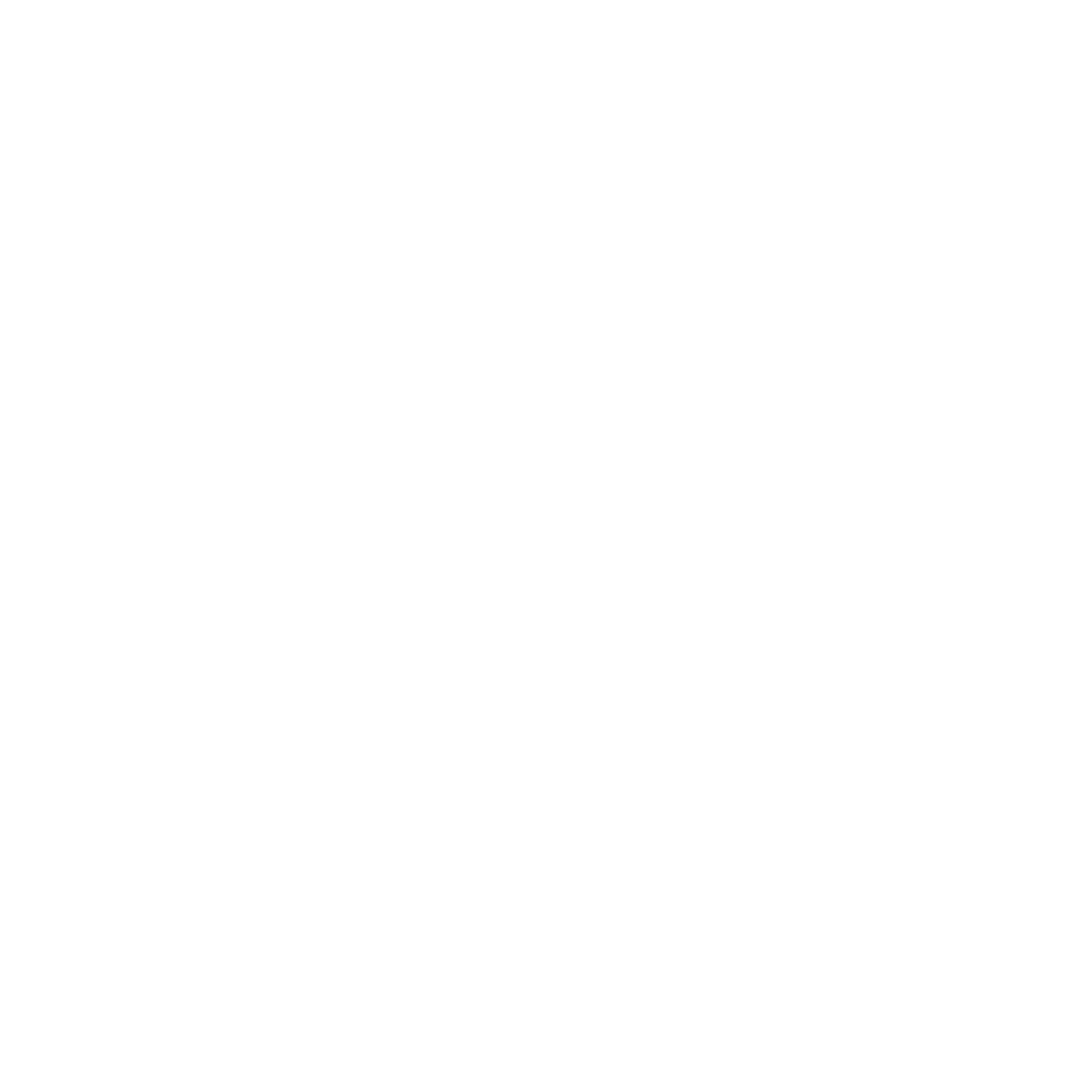 The Brisbane Times