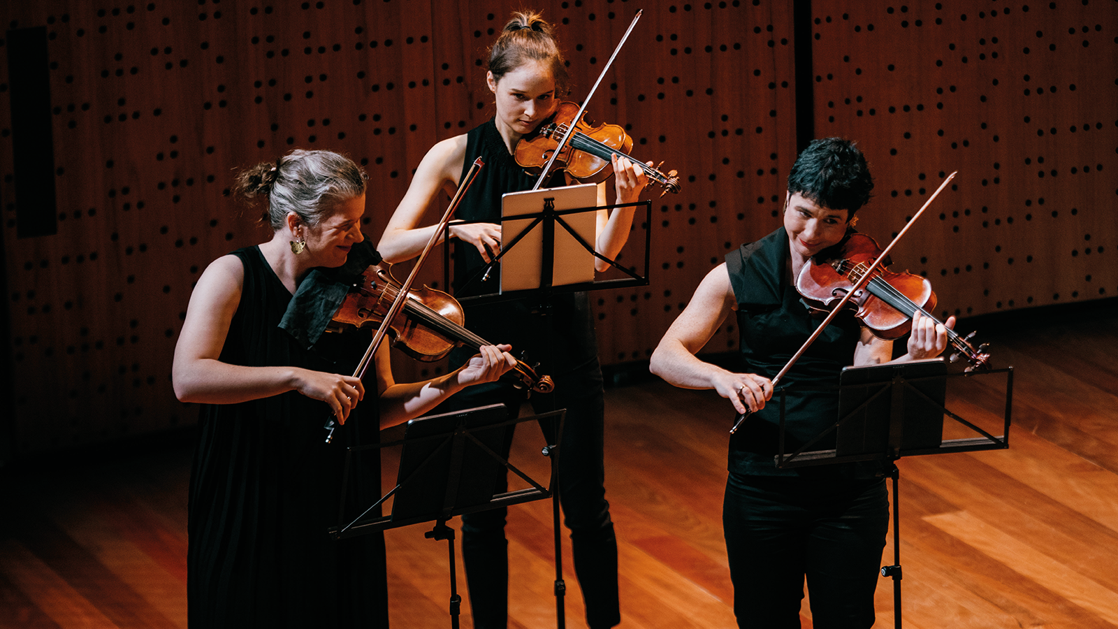 ACO Collective NEW VERSION