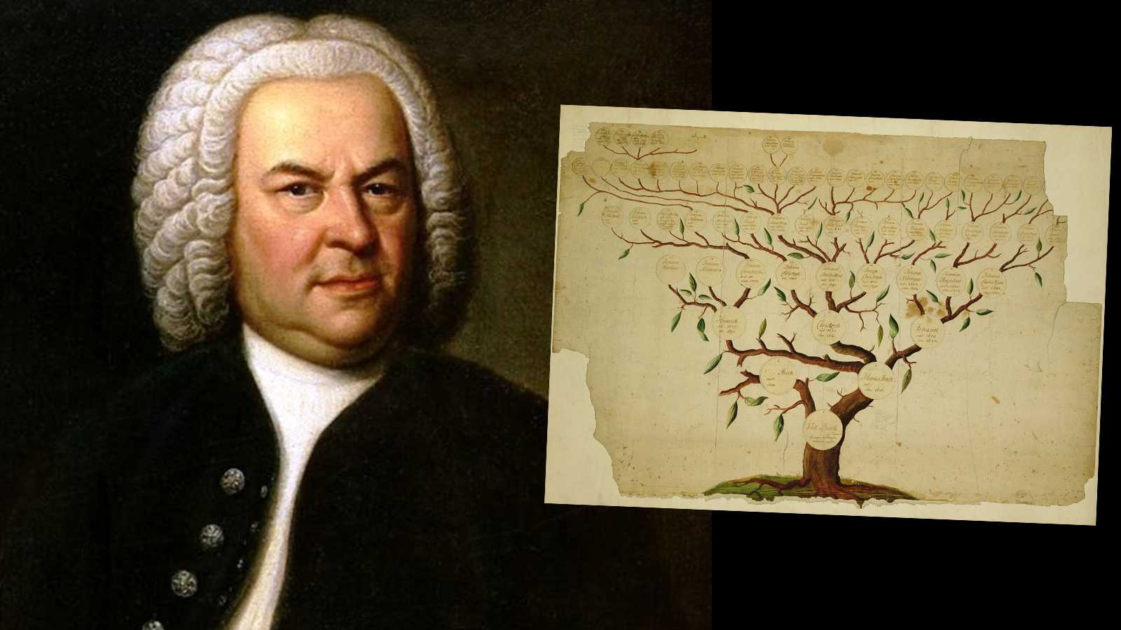 The Bach Dynasty - Australian Chamber Orchestra