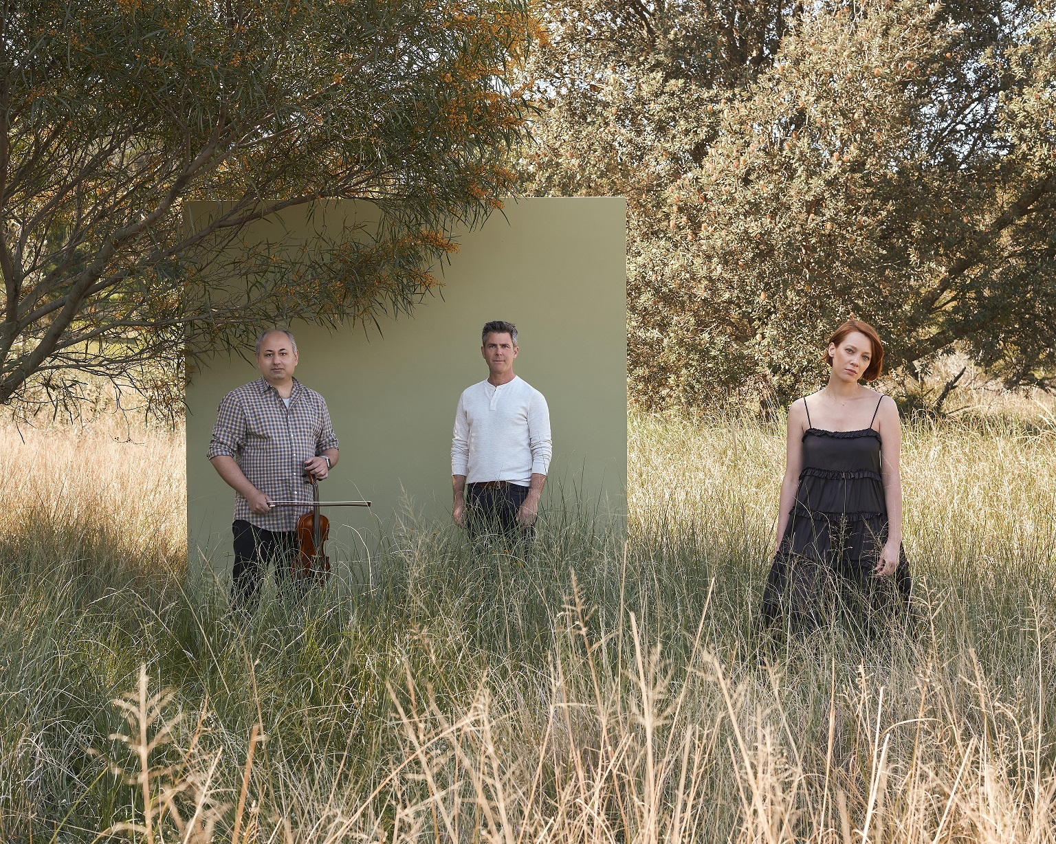 Baroque Revelry Feature