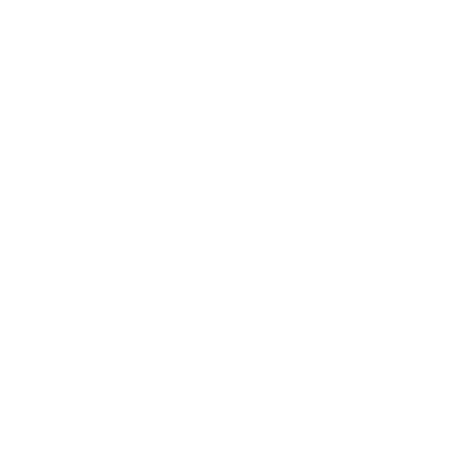 BNPP_LOGO_FR_V_450x450px