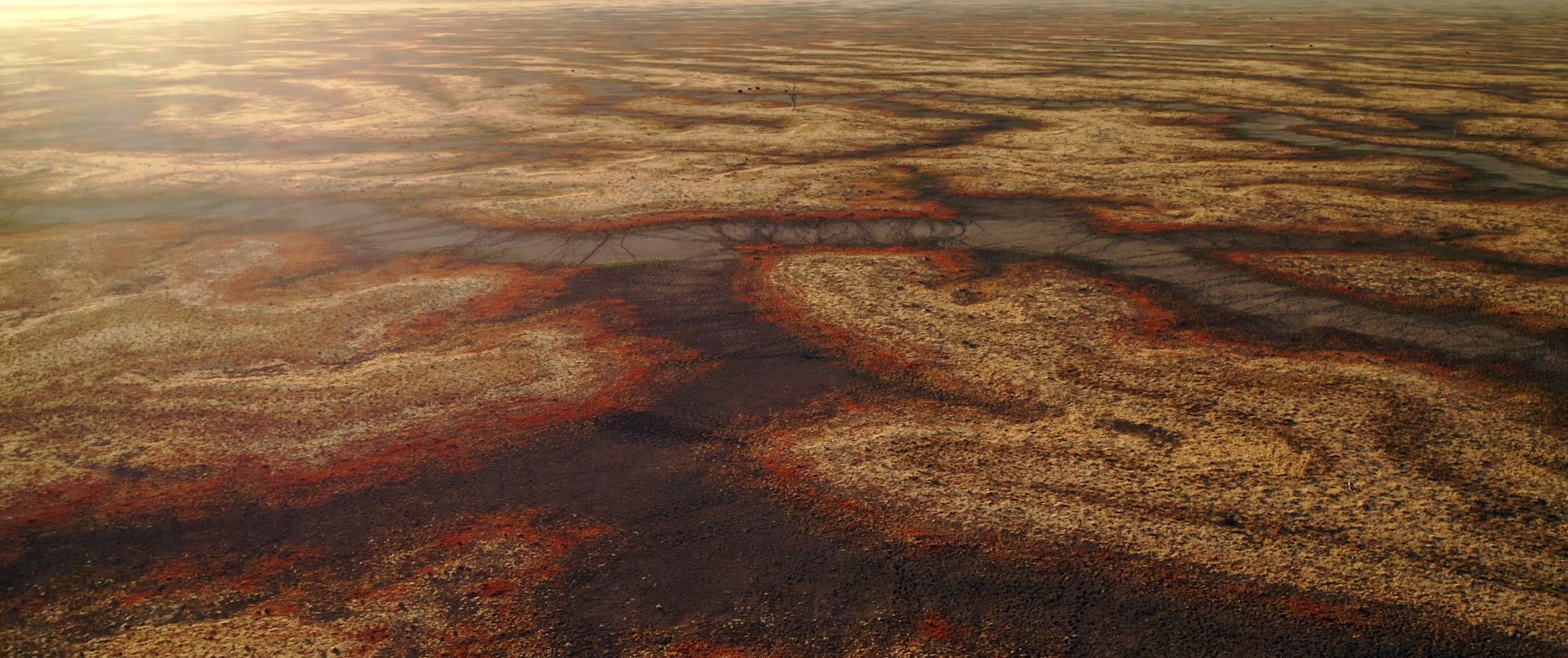 RIVER_MURRAY_DARLING_3 - credit Rory McLeod