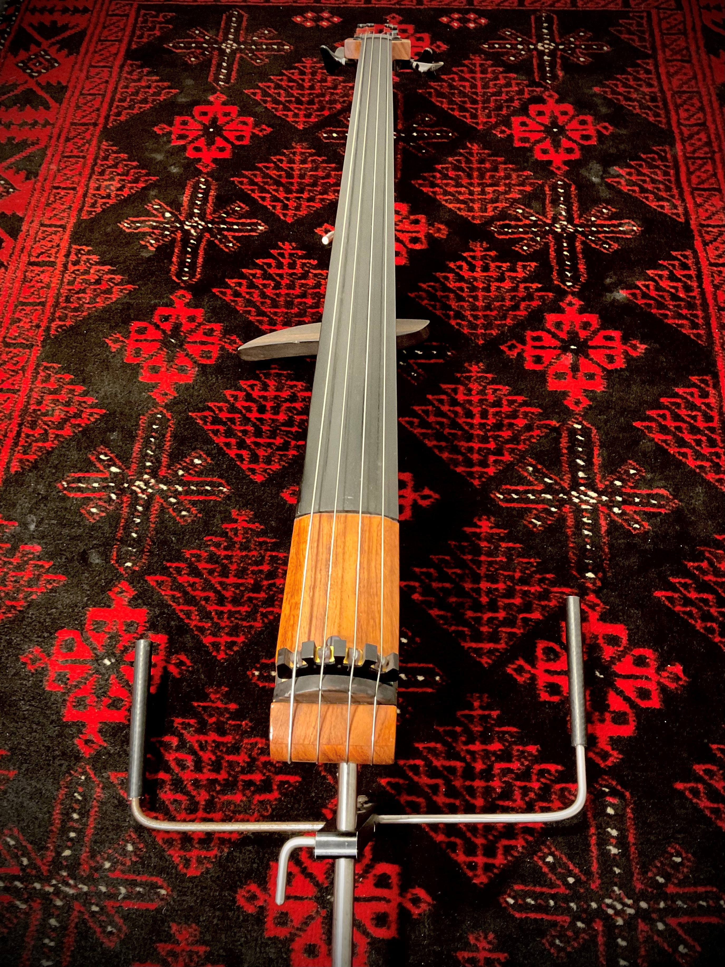 Electric Cello 1