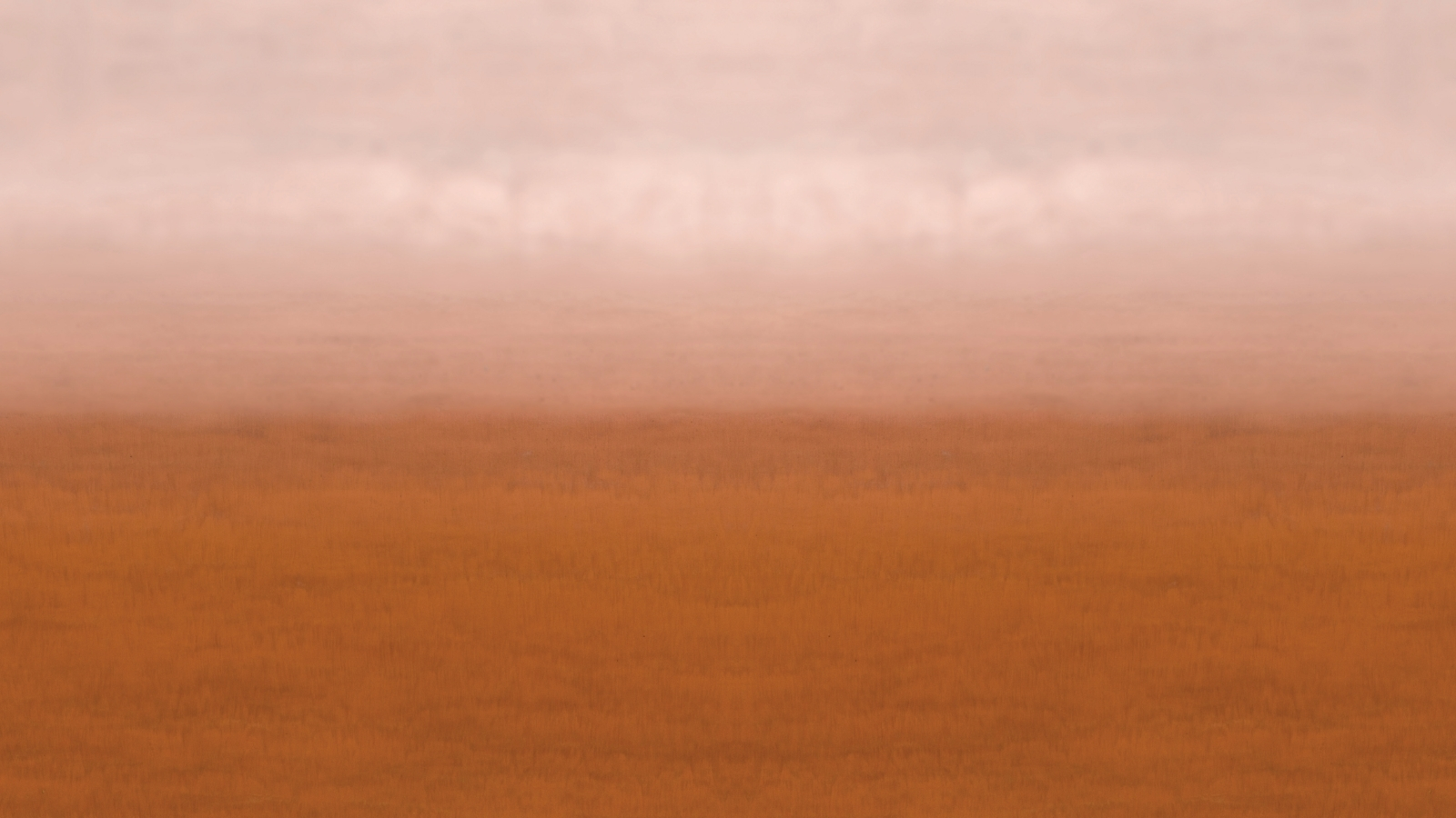 Horizon Album - Australian Chamber Orchestra