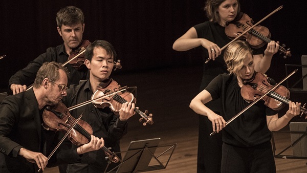 Violins