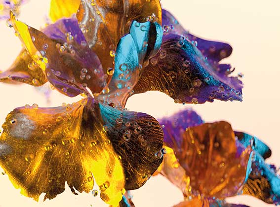 A still from the Mahler animation