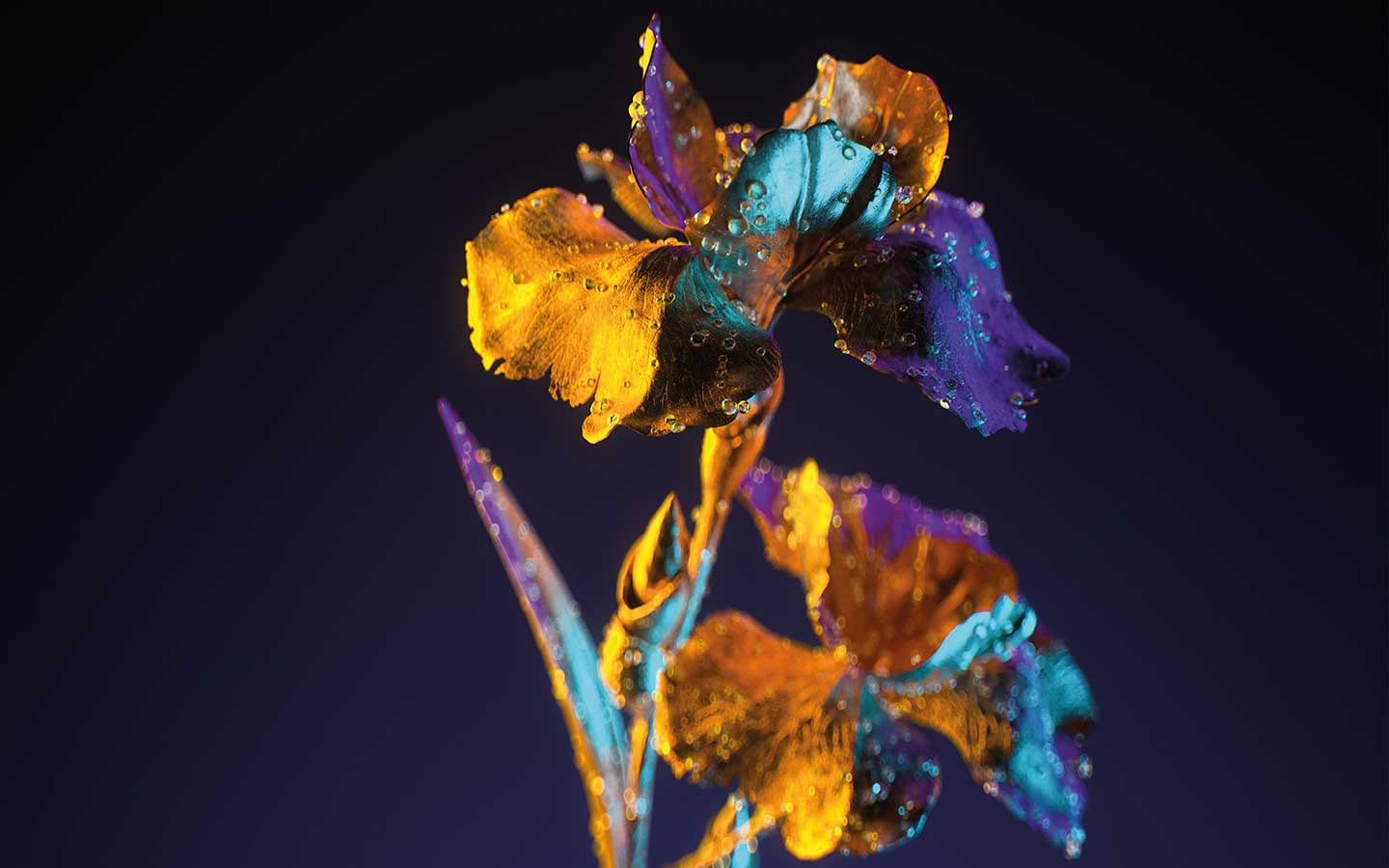 A piece of graphic art by Scott Geersen, created in response to Mahler's Song of Earth