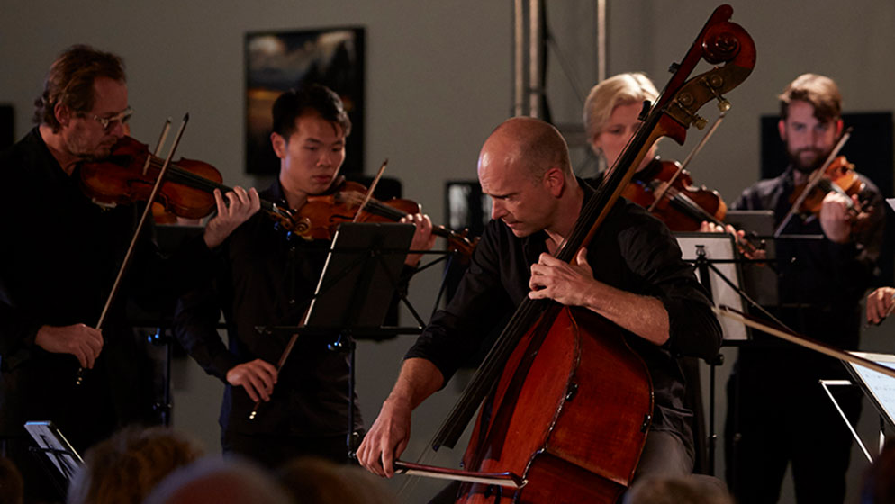 Photo of ACO Principal Double Bass Maxime Bibeau