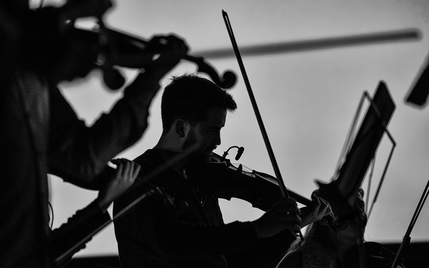 The shadow of an ACO musician with a microphone on their violin