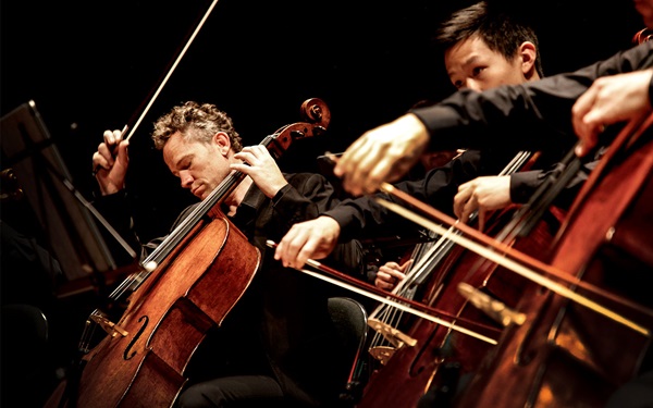 ACO Cellist Julian Thompson in performance