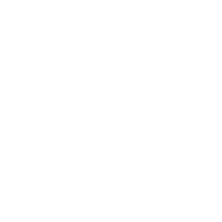 The logo of Neilson Foundation
