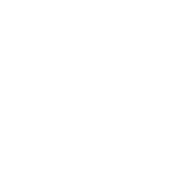 The logo of The Thomas Foundation