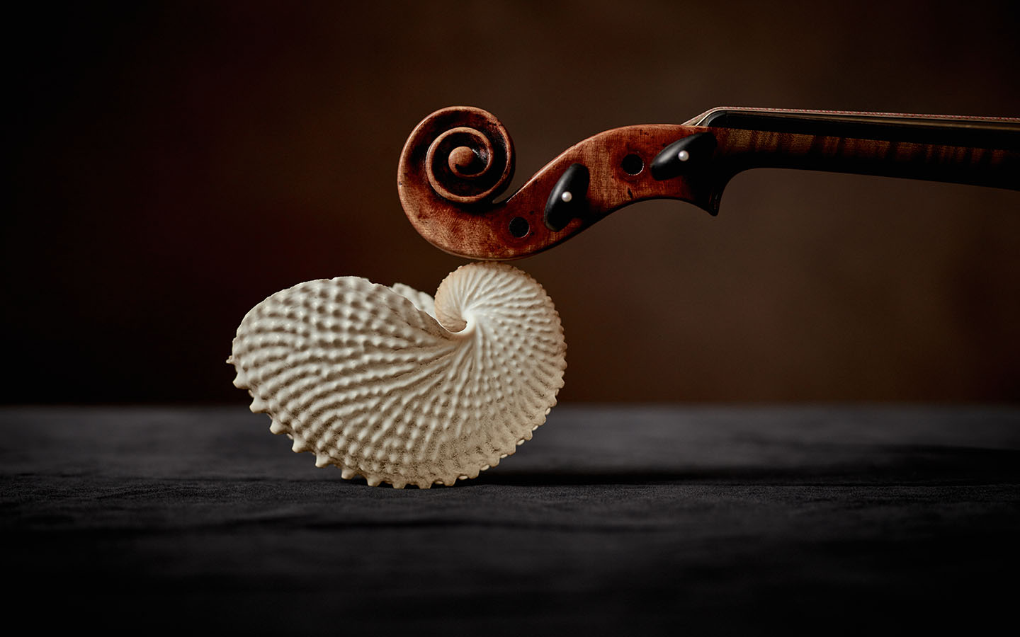Golden Age Instrument Collection - Australian Chamber Orchestra