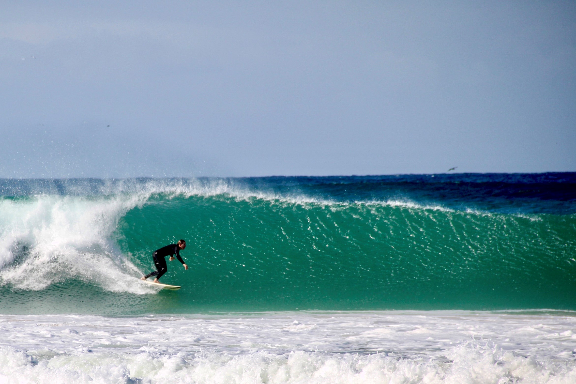 ACO Cello Julian Thompson Surfing 