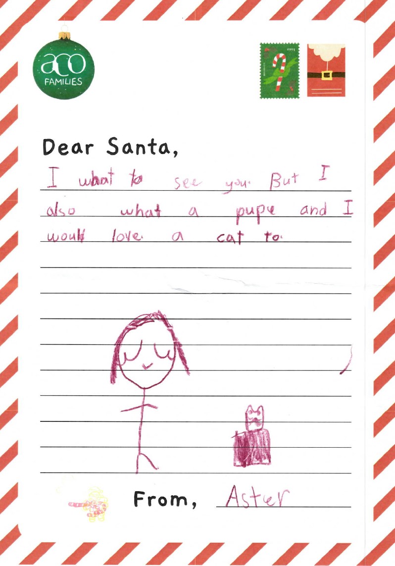 ACO Families Dear Santa Letter