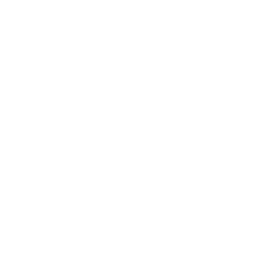 LSH Auto Australia logo