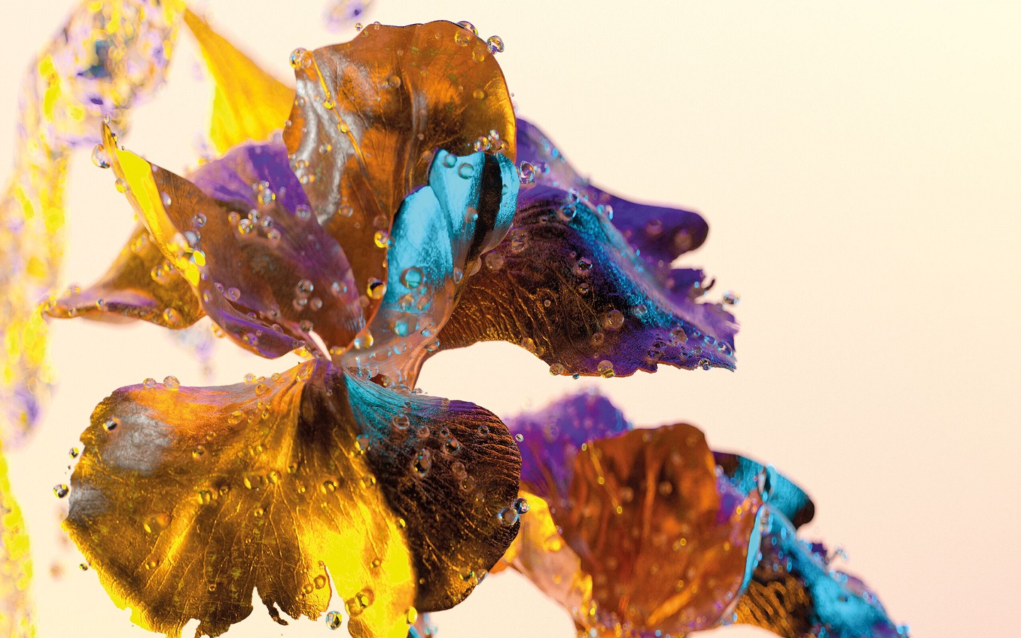 Mahlers Song of the Earth