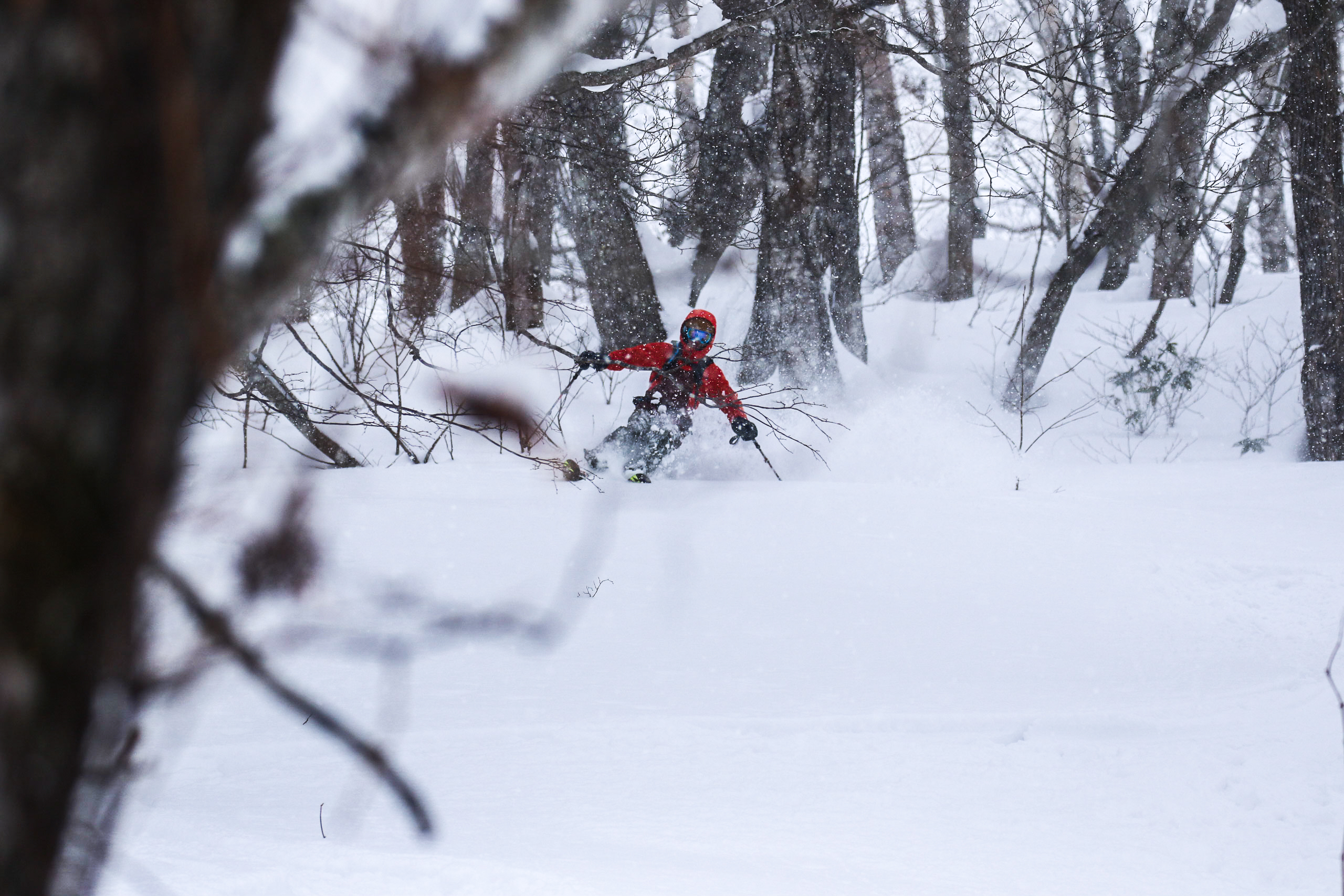 Richard Tognetti skiing in Niseko