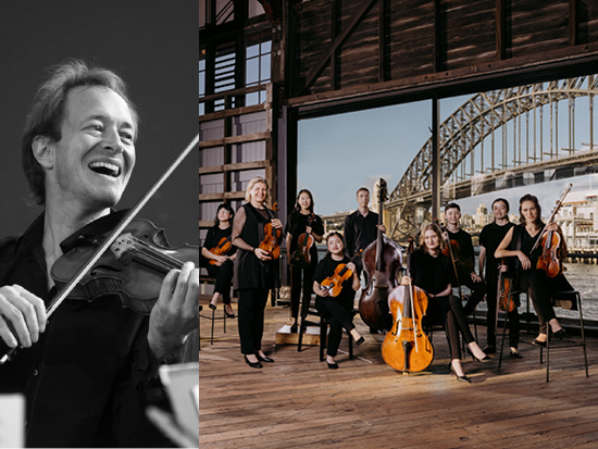 2026ACOUpClosewebsiteAnthonyMarwoodACOCollective550x4125px