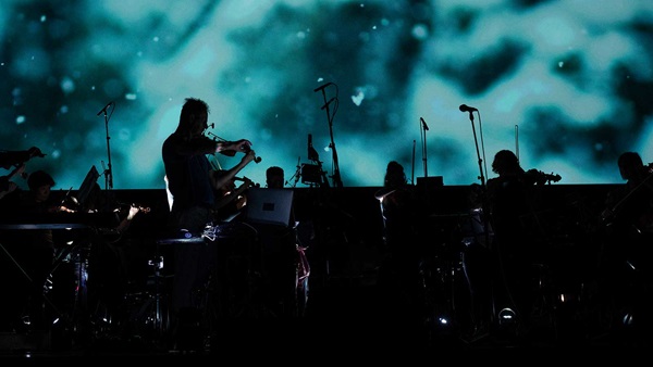 Richard Tognetti performs in River