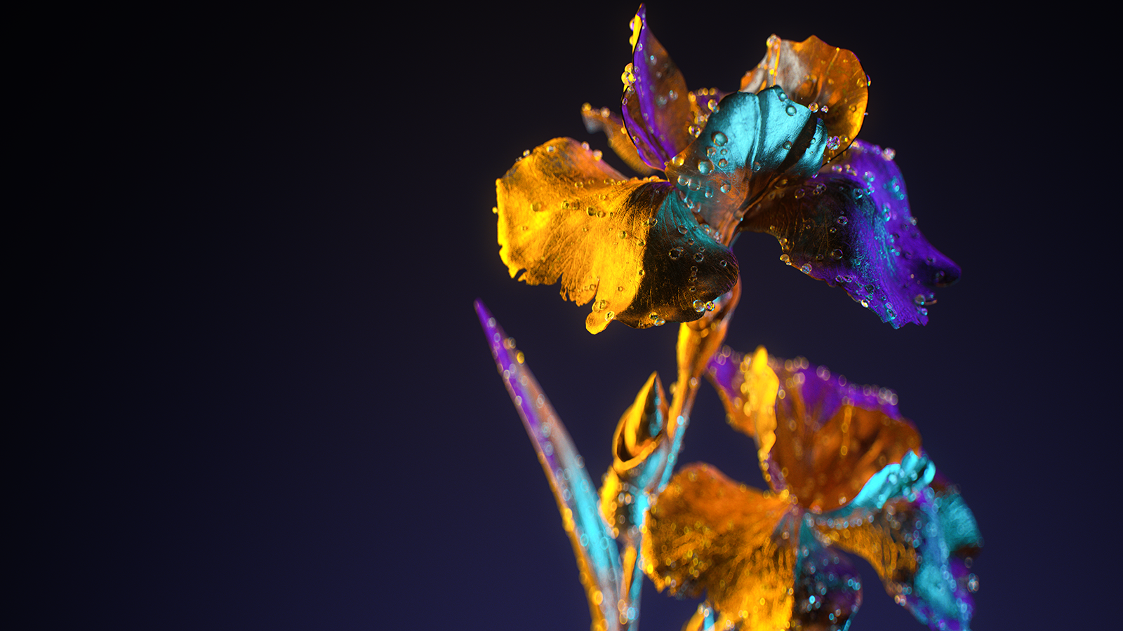 An introduction to Mahler’s Song of the Earth - Australian Chamber ...