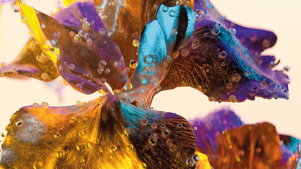 A still from the creative response to Mahler's 'Song of the Earth'