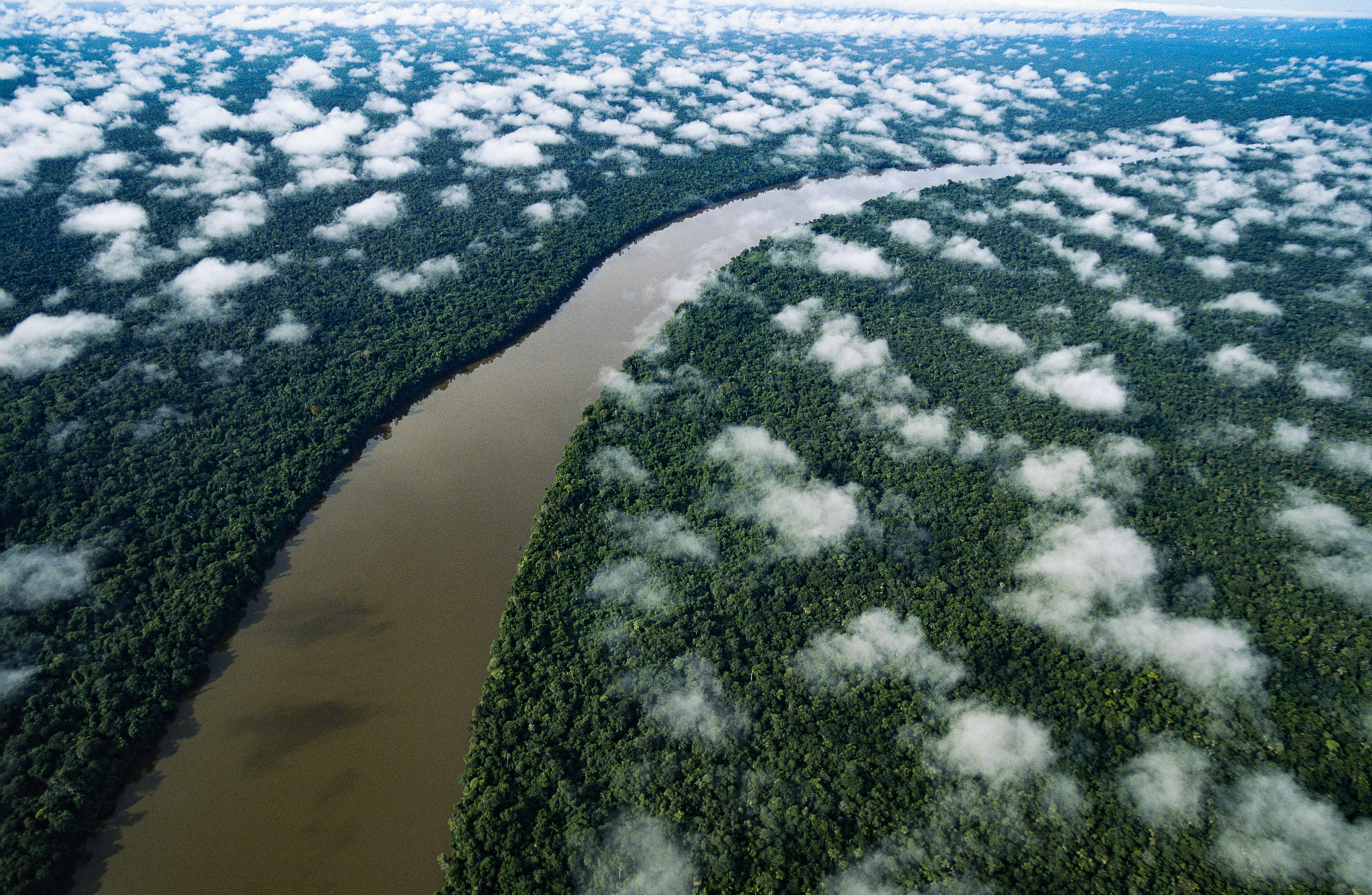 LICENSED FOR PR - Yann Arthus-Bertrand - 637418834 - Copy