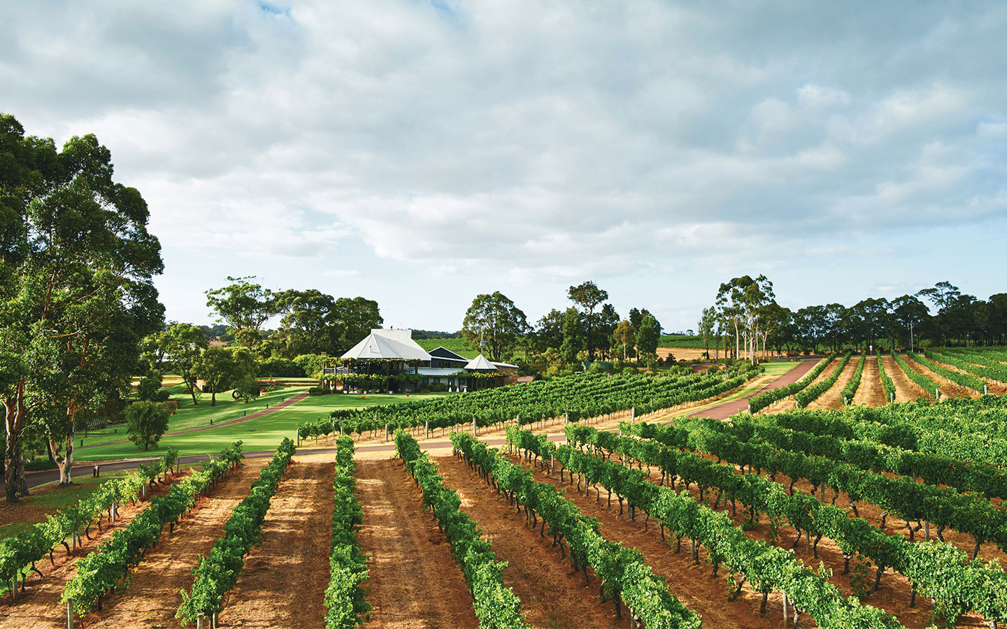 A scenic view of the vineyard and cellar door at Vasse Felix