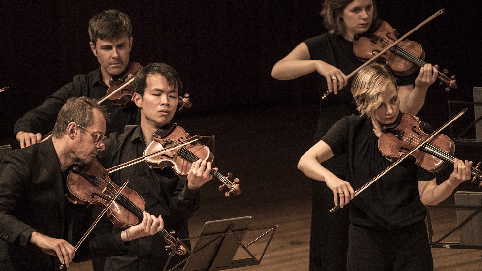 Violins