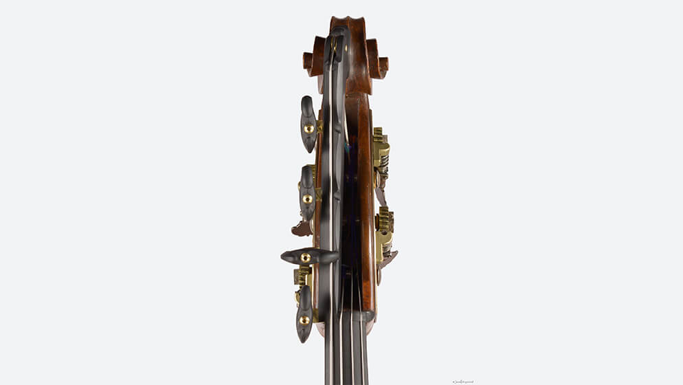 Bass_8